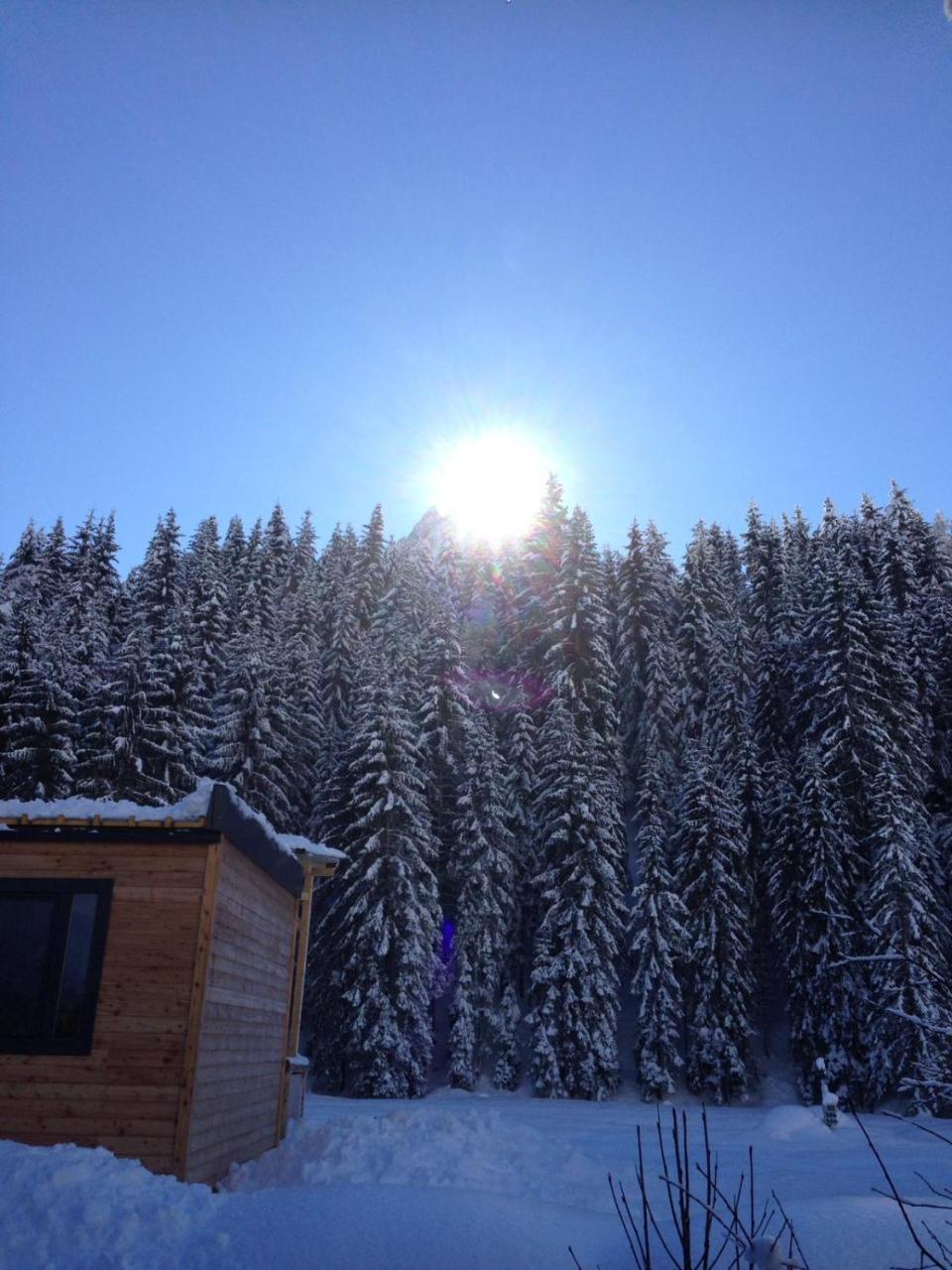 Eirl Dolomites Retreat Sappada Bed and Breakfast Eksteriør billede